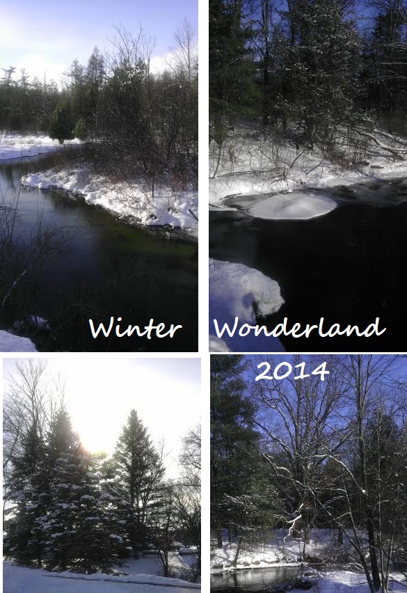 Winterwonderland 2014